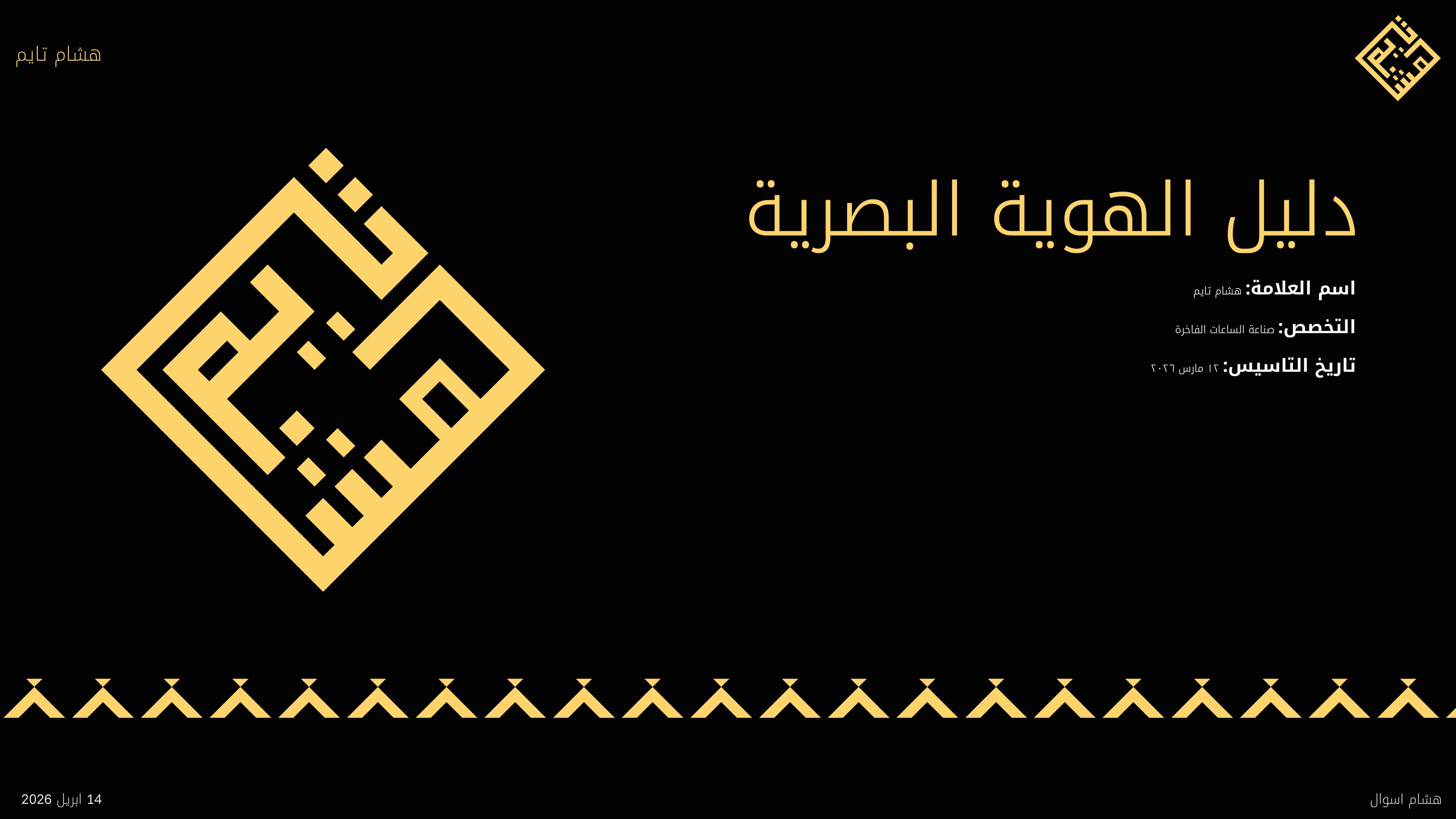 Hicham time brand guideline 1