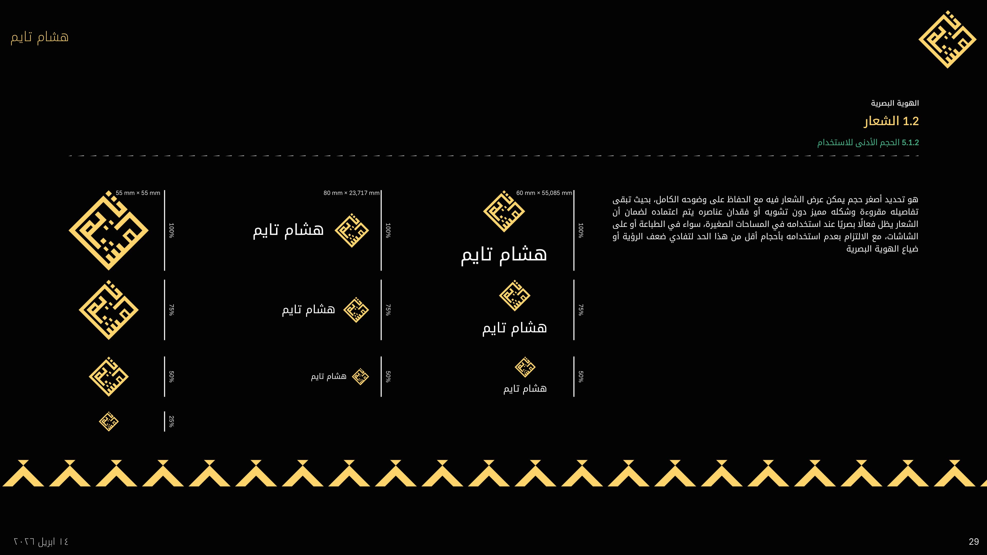 Hicham time brand guideline 29