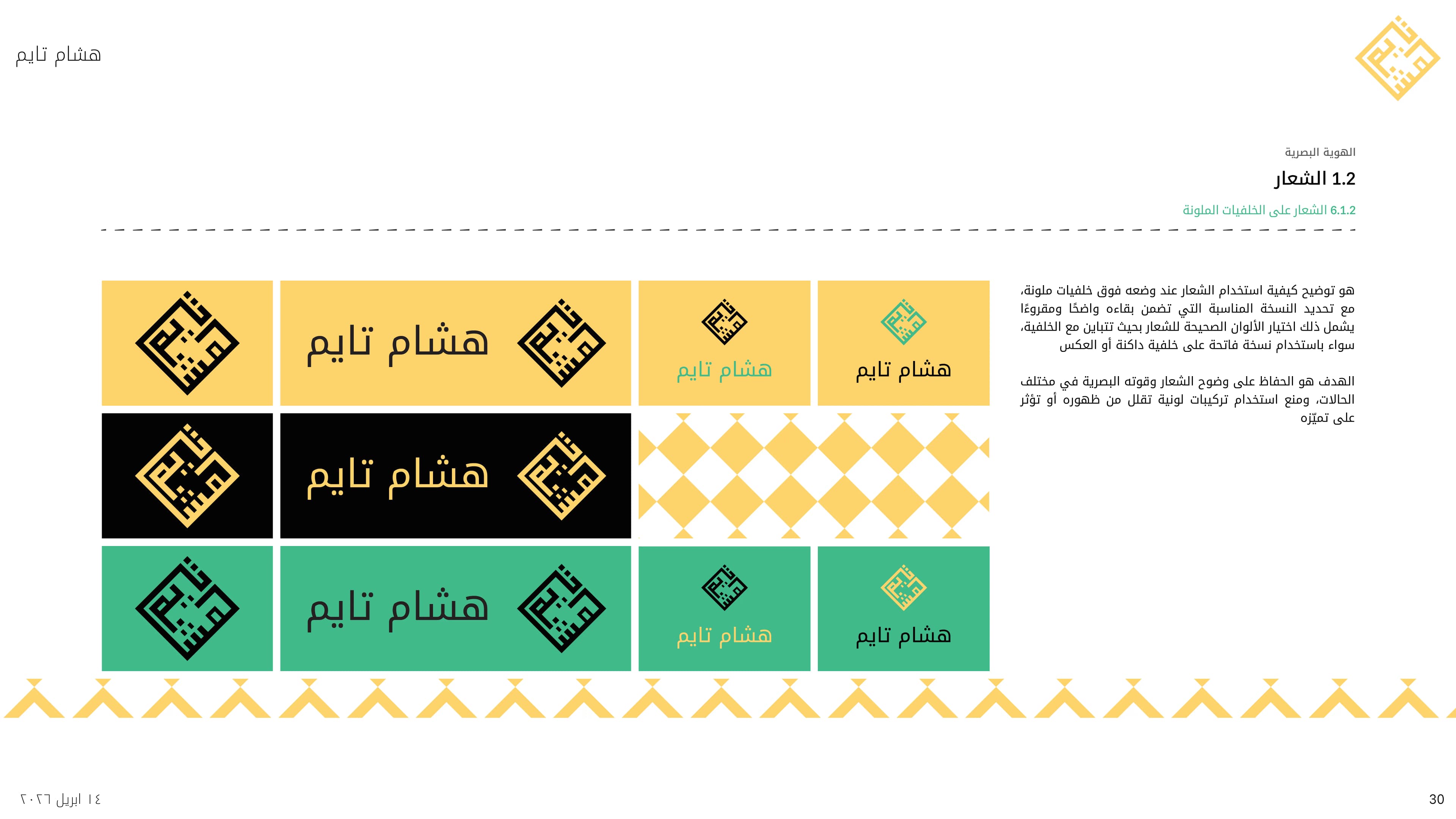 Hicham time brand guideline 30