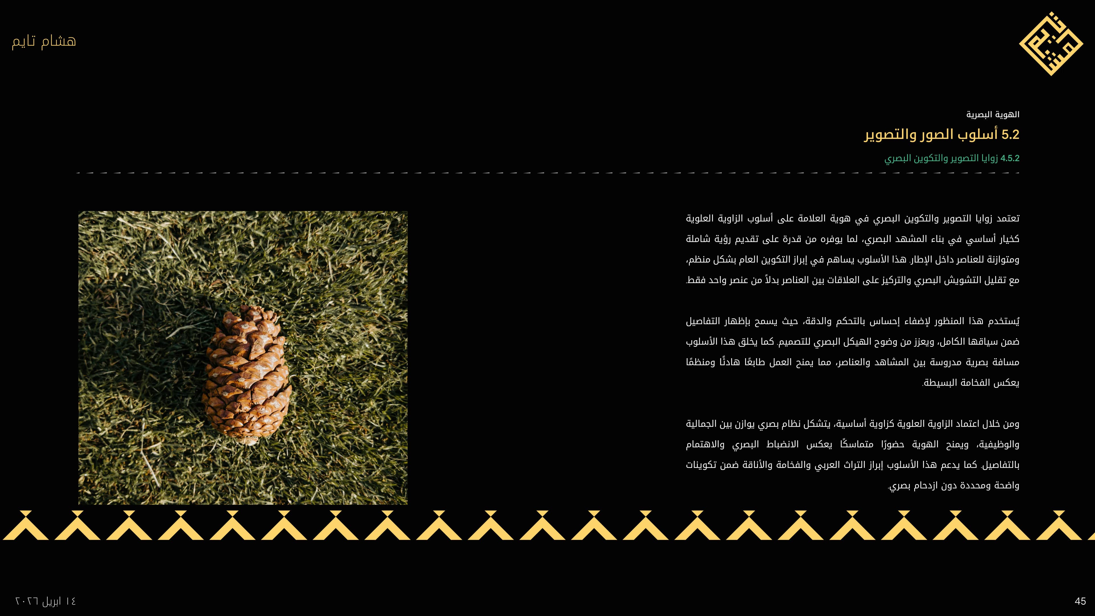 Hicham time brand guideline 45